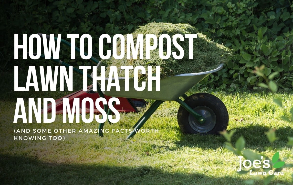 All About Using Compost for the Lawn