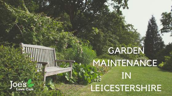 Garden Maintenance Leicestershire