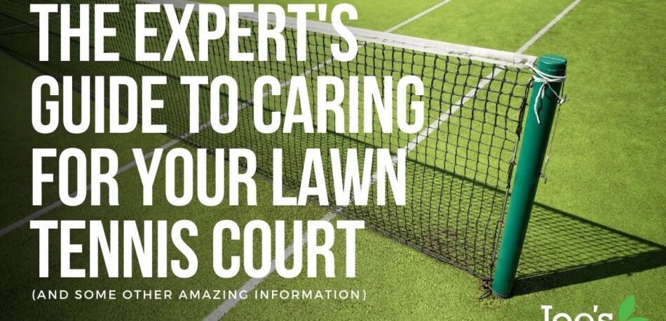The Expert's Guide To Caring For Your Lawn Tennis Court