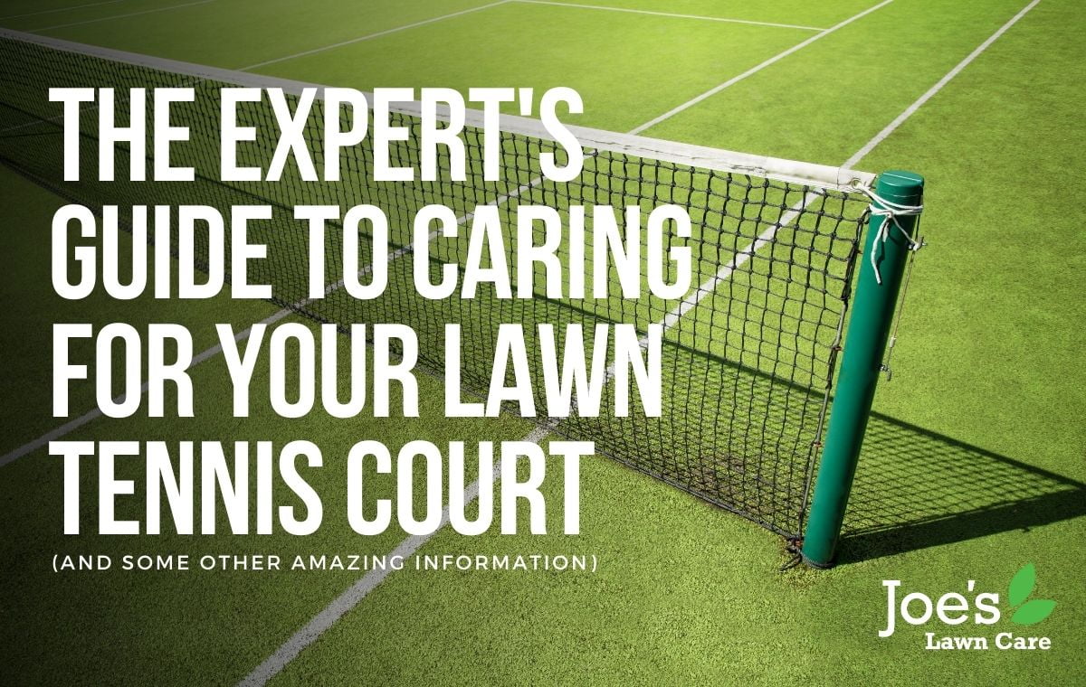 The Expert's Guide To Caring For Your Lawn Tennis Court