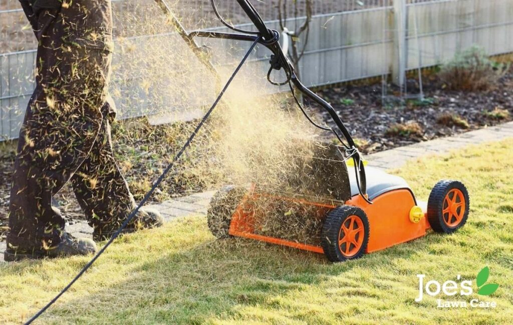 The Expert's Guide To Treating Your Lawn AllYear Round Joe's Lawn Care