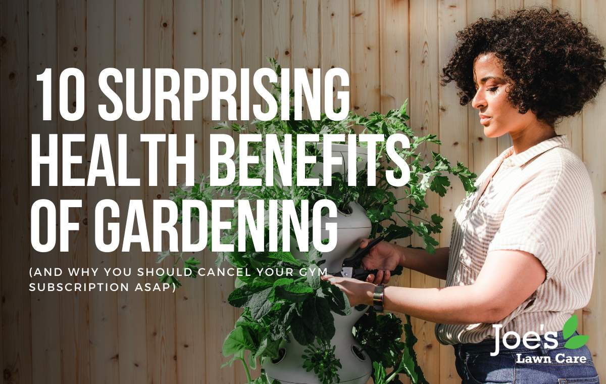 Benefits to gardening