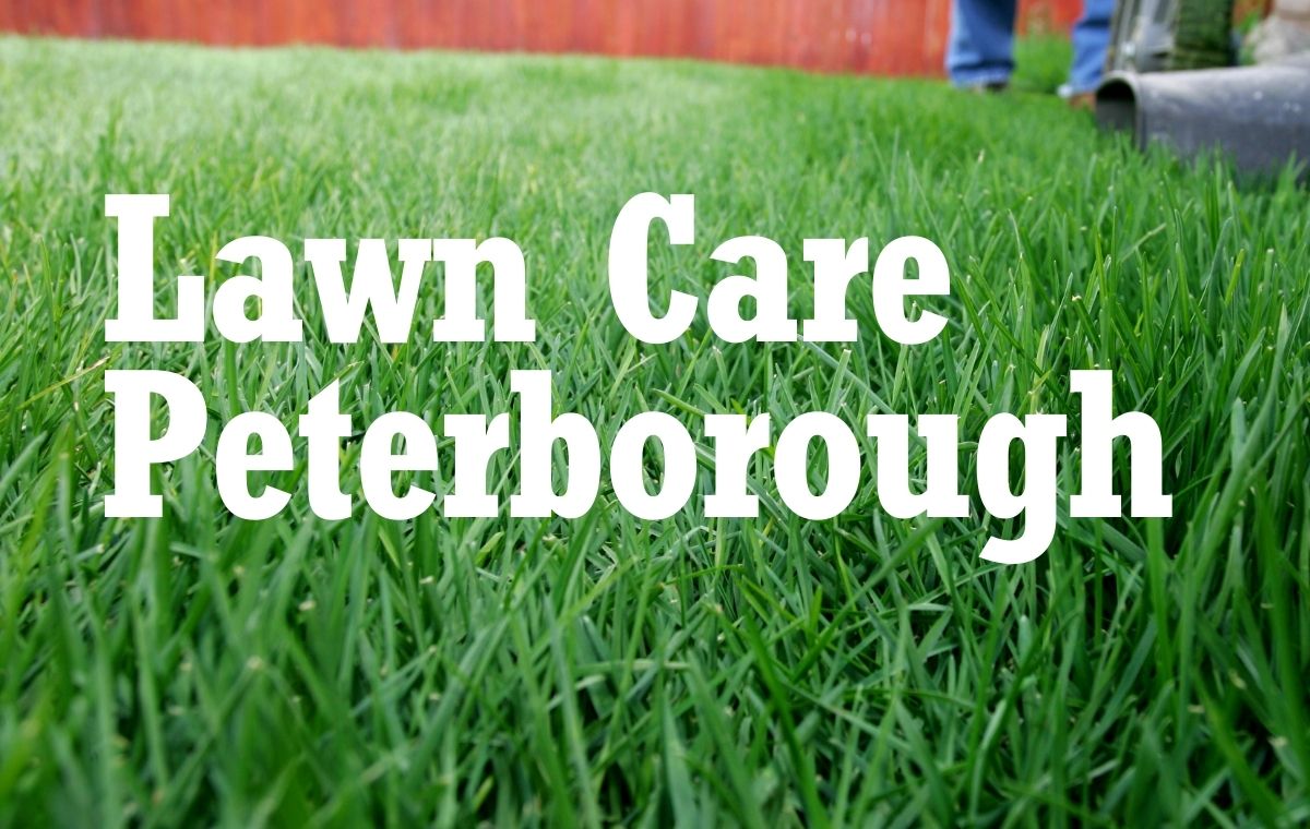 Lawn Care Peterborough