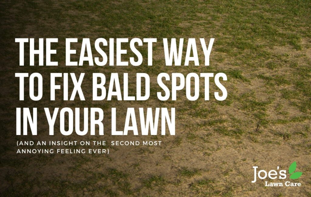 The Easiest Way To Fix Bald Spots In Your Lawn Joe's Lawn Care