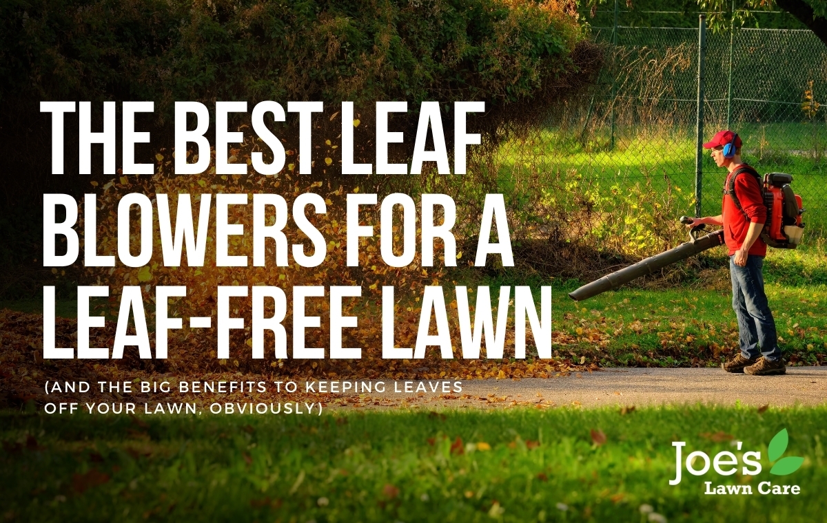 Best leaf store blower 2021