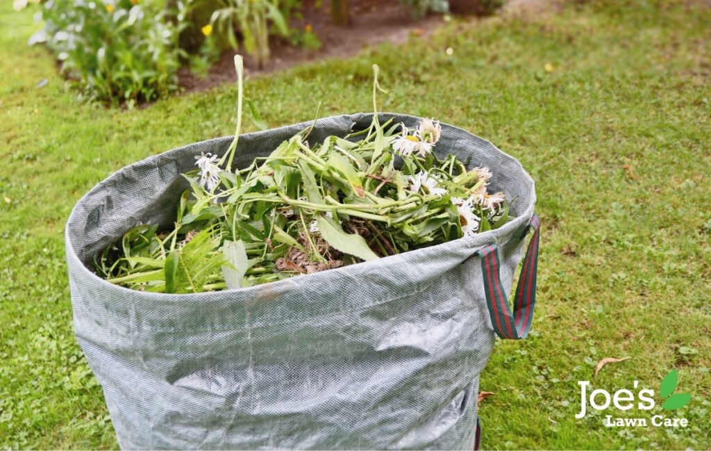 6 Ways to Keep The Neighbour’s Weeds Out of Your Garden