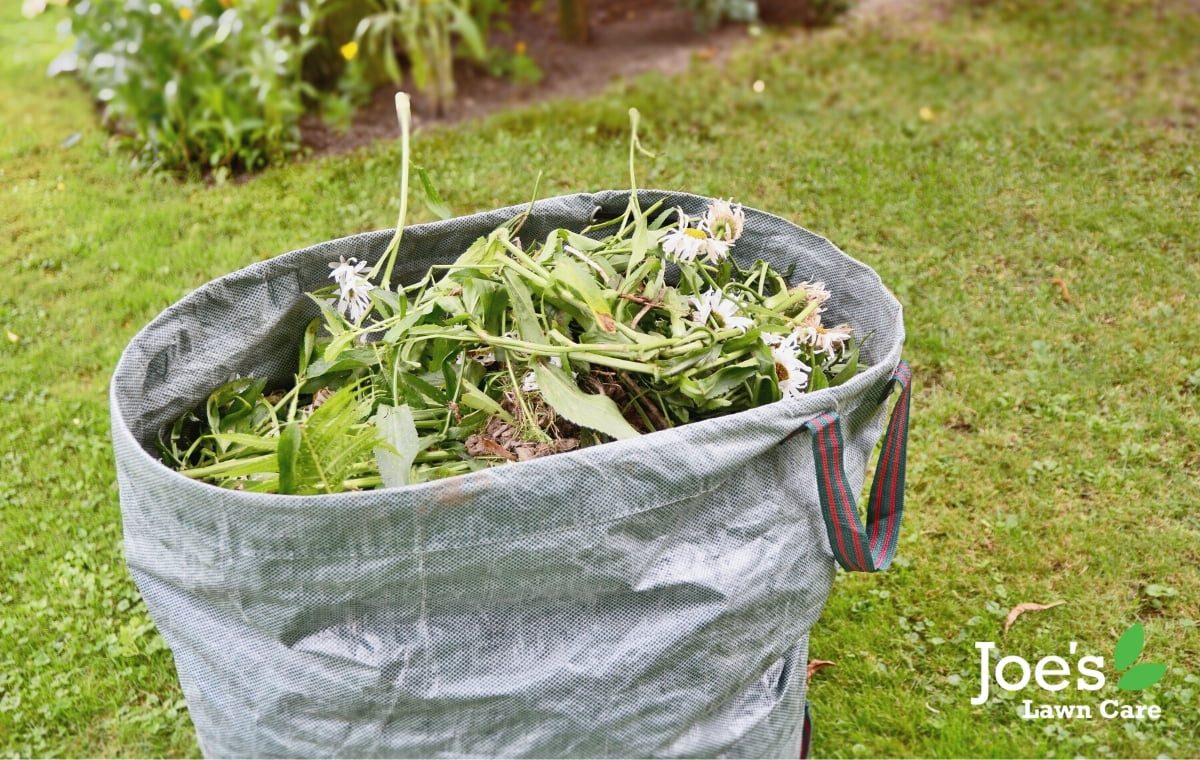 6 Ways to Keep The Neighbour’s Weeds Out of Your Garden Joe's Lawn Care