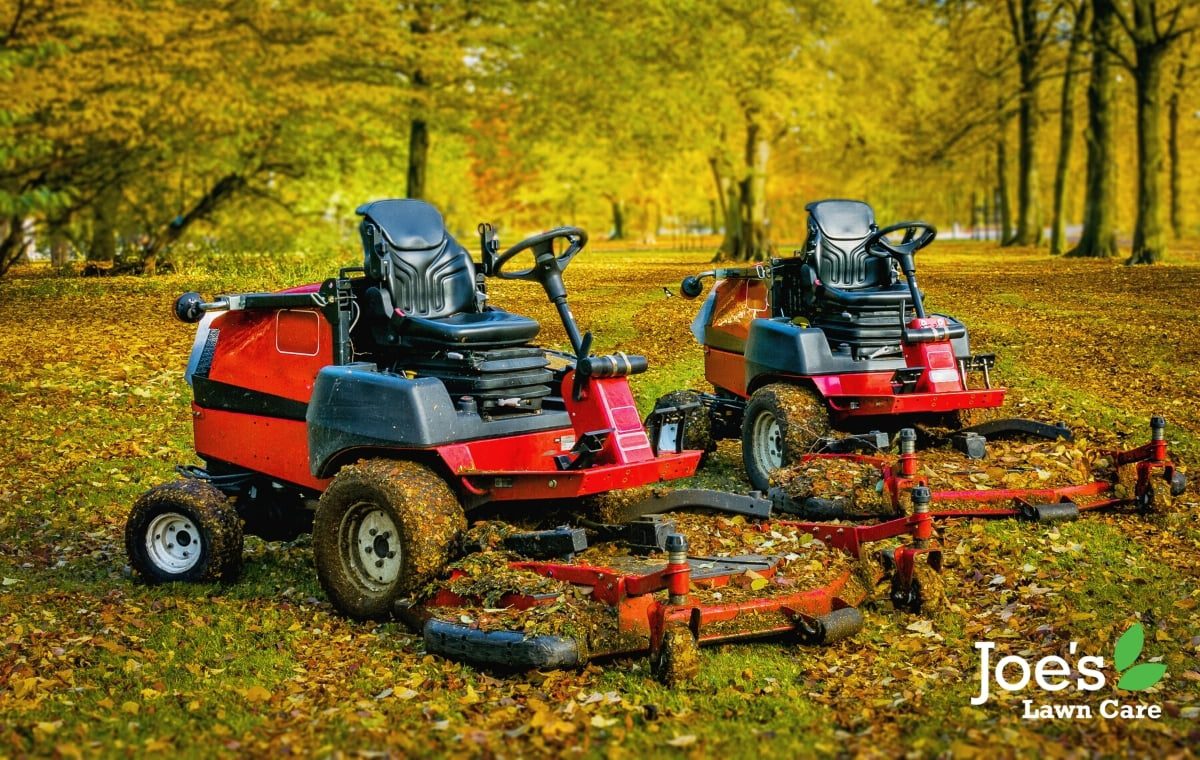 Autumn Lawn Care Hacks To Do Right Now Joe's Lawn Care