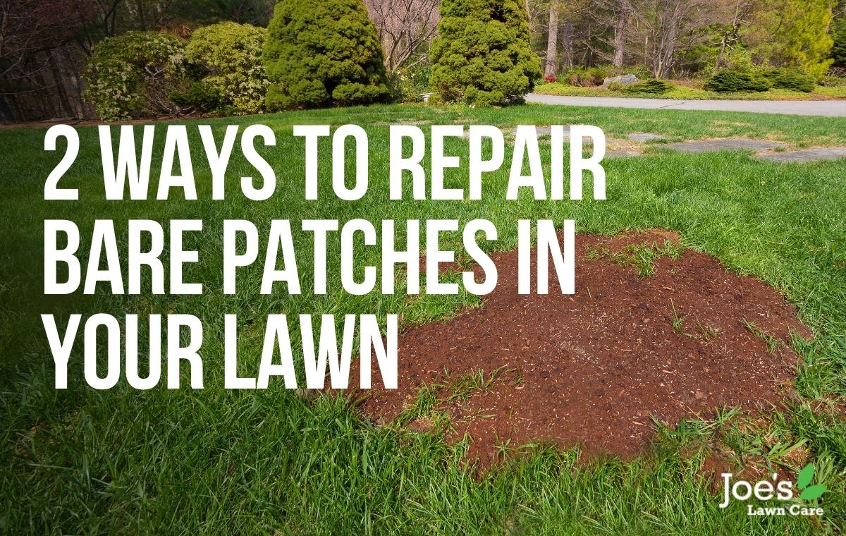 2 Ways To Repair Bare Patches in Your Lawn