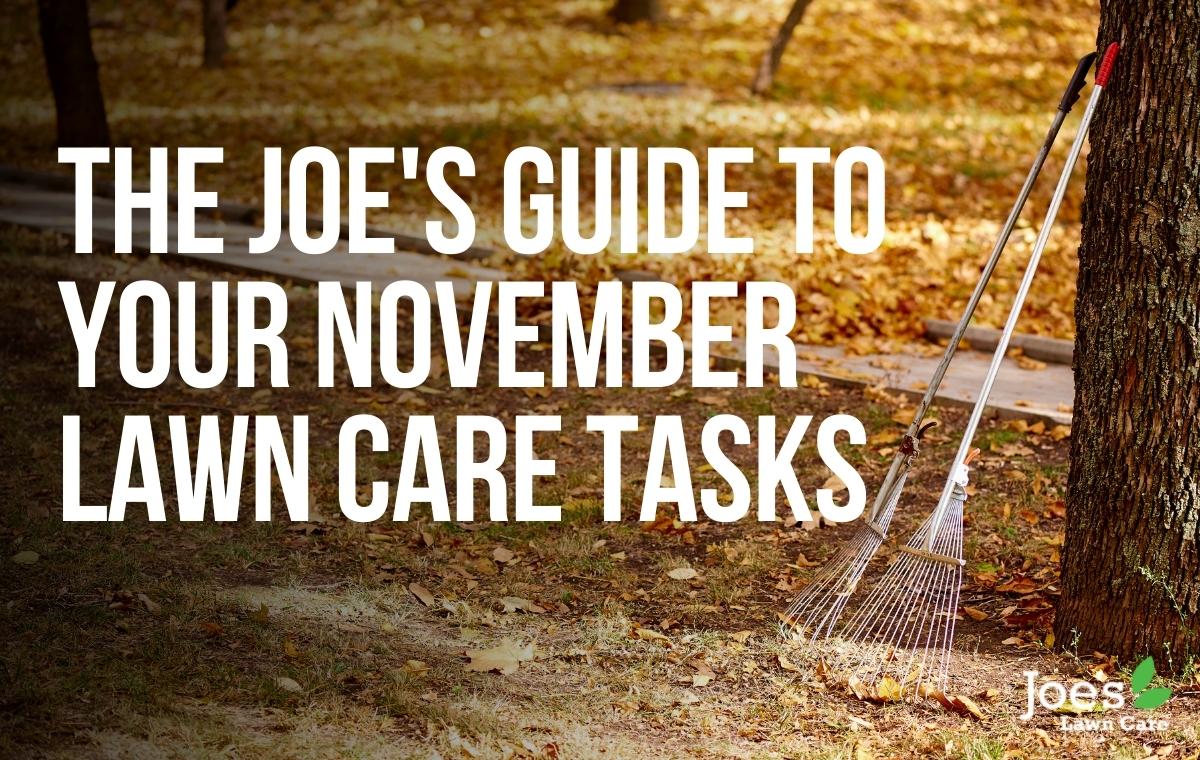 November tasks