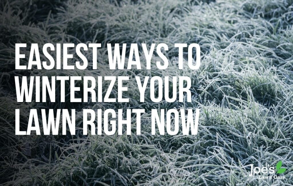 Easiest Ways To Winterize Your Lawn Right Now Joe's Lawn Care