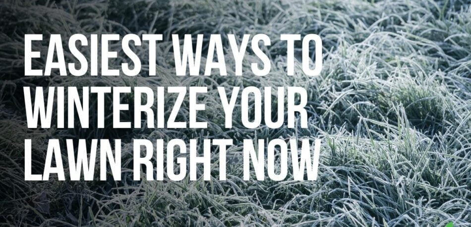 Winterize your lawn