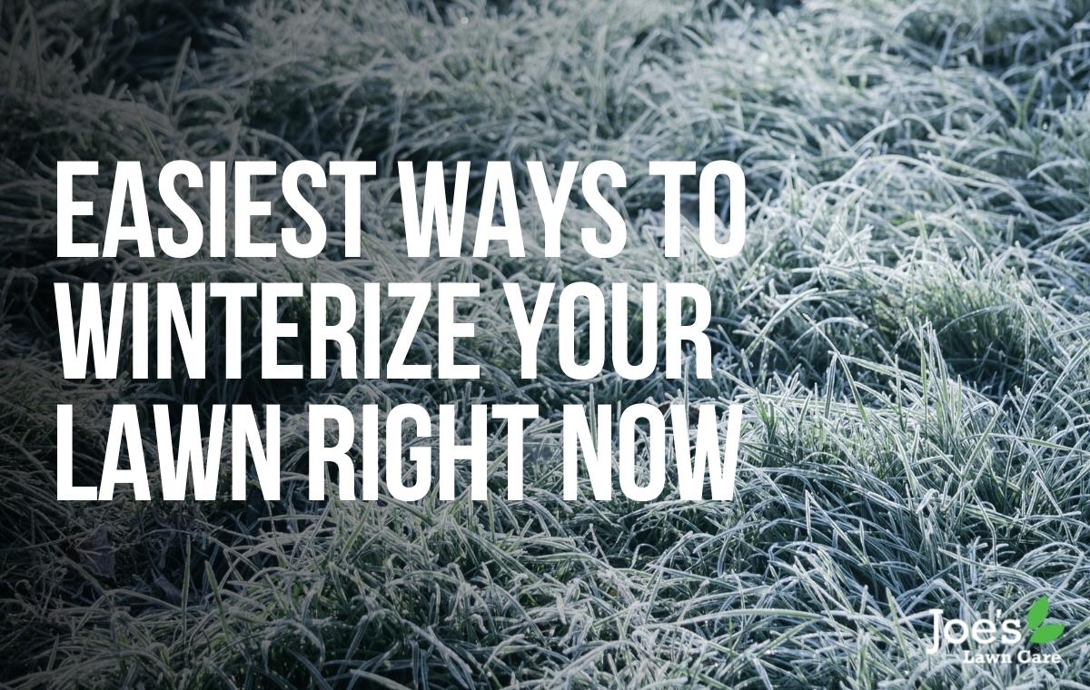 Winterize your lawn