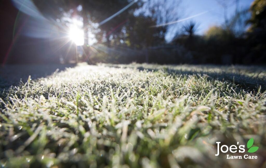 winter lawn care tips care for your lawn in all seasons