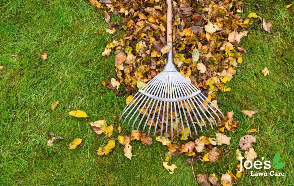 clear your leaves - autumn lawn care 