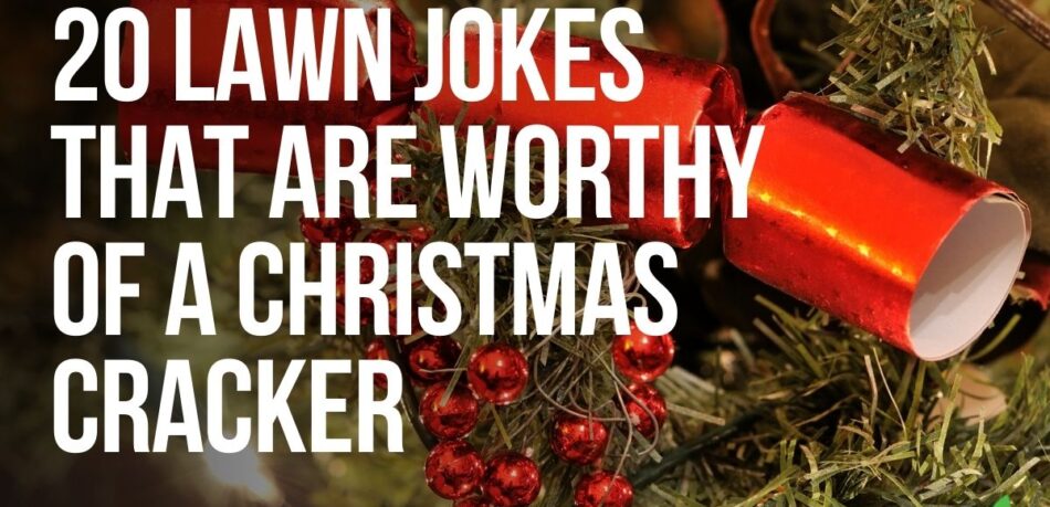 lawn jokes for the christmas crackers