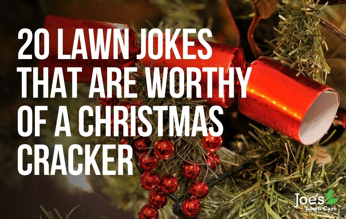 lawn jokes for the christmas crackers