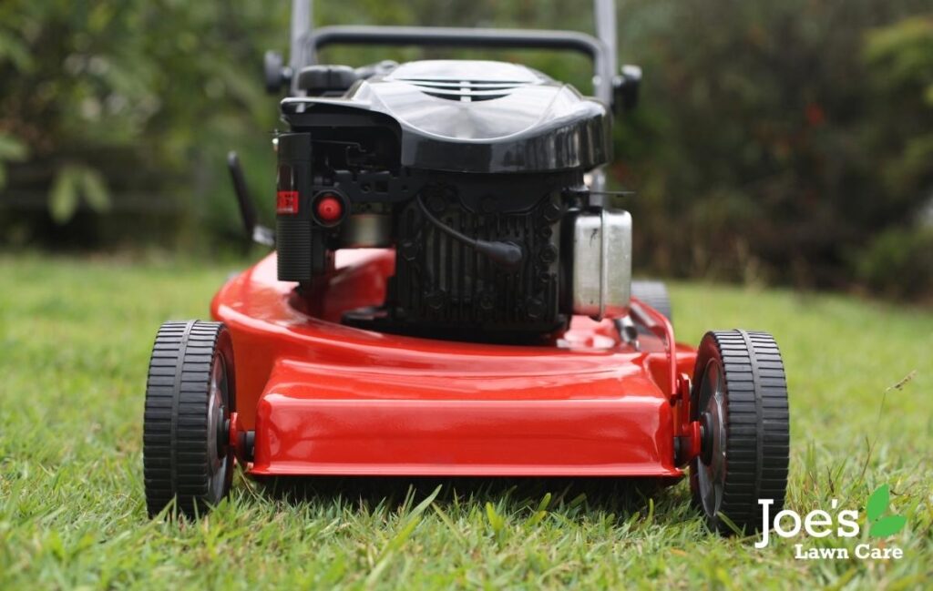 mow your lawn even in winter