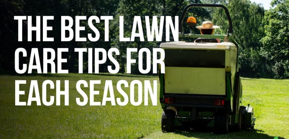 best lawn care tips for each season