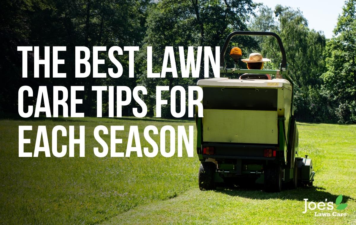 best lawn care tips for each season