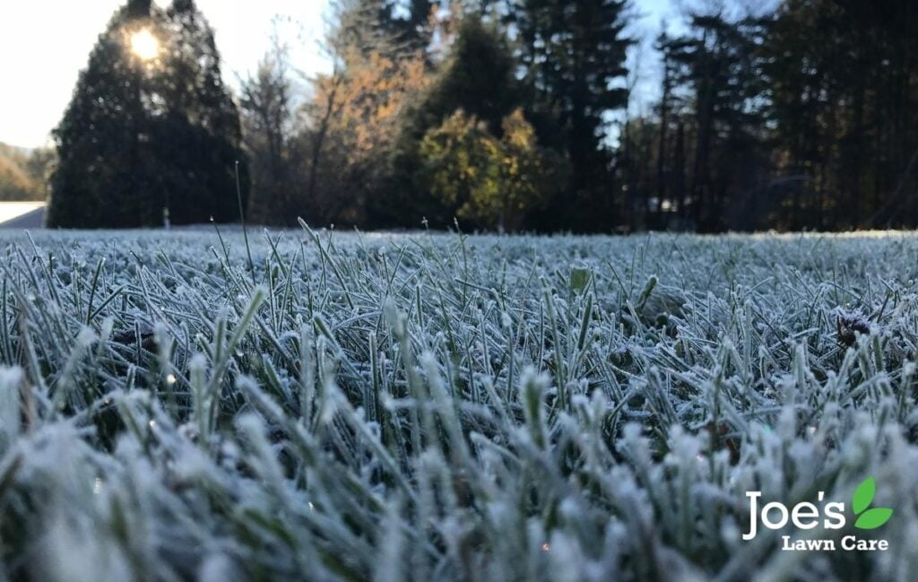 Reducing problems of frost on your lawn