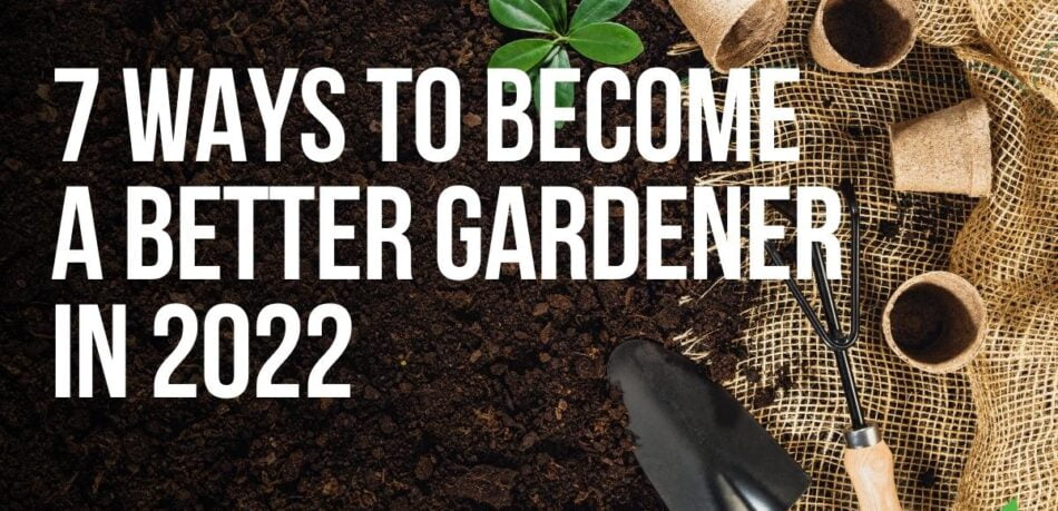 7 ways to be a better gardener in 2022