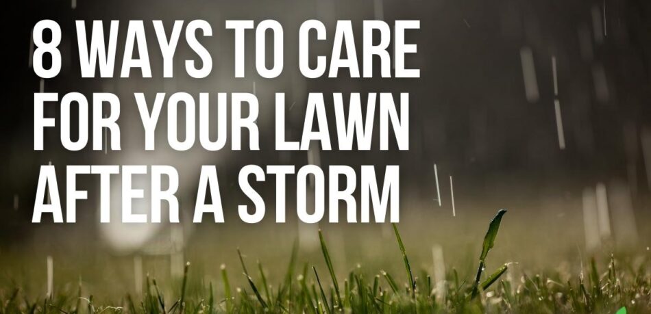 8 ways to care for your lawn after a storm