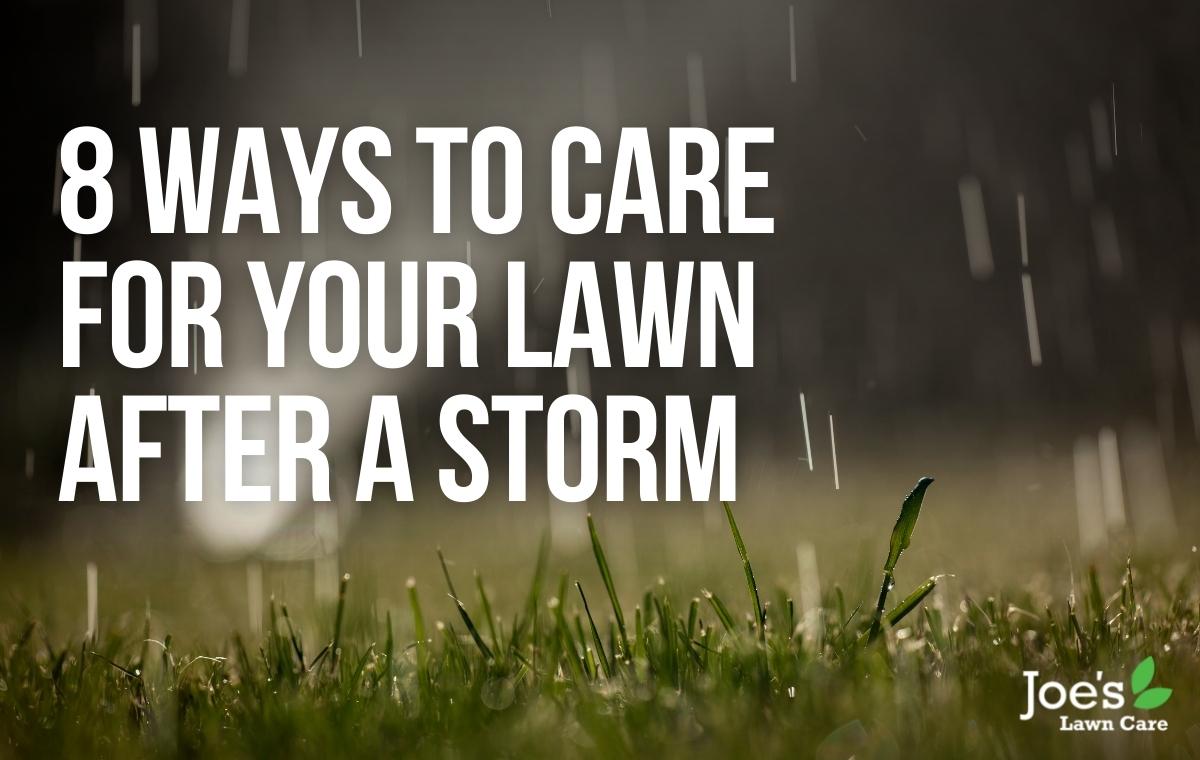 8 ways to care for your lawn after a storm