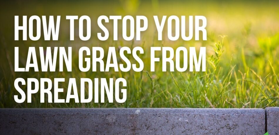 How to Stop Your Lawn Grass From Spreading