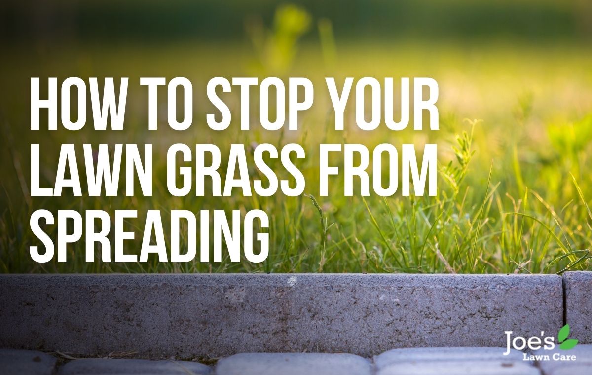 How to Stop Your Lawn Grass From Spreading