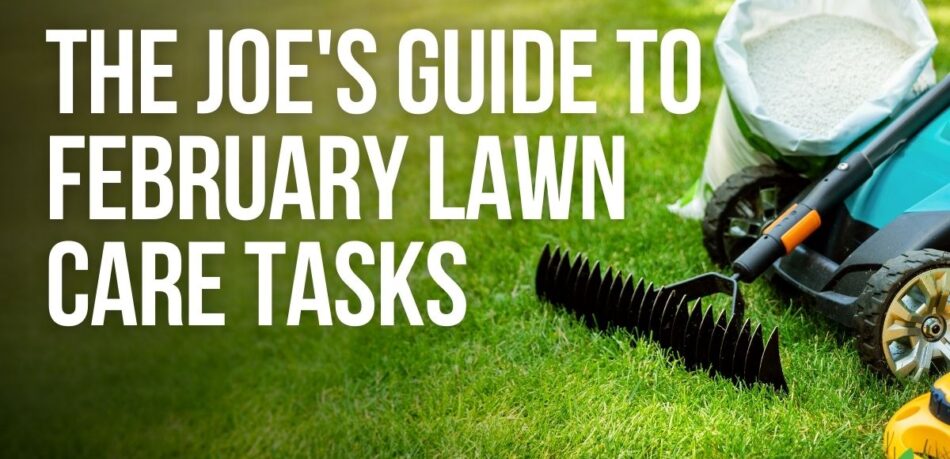 Joe's Guide To February Lawn Care Tasks