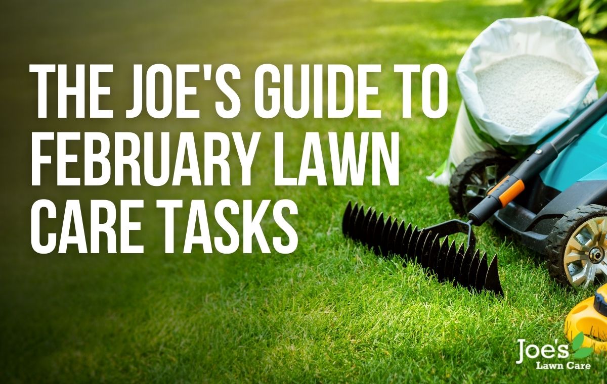 Joe's Guide To February Lawn Care Tasks