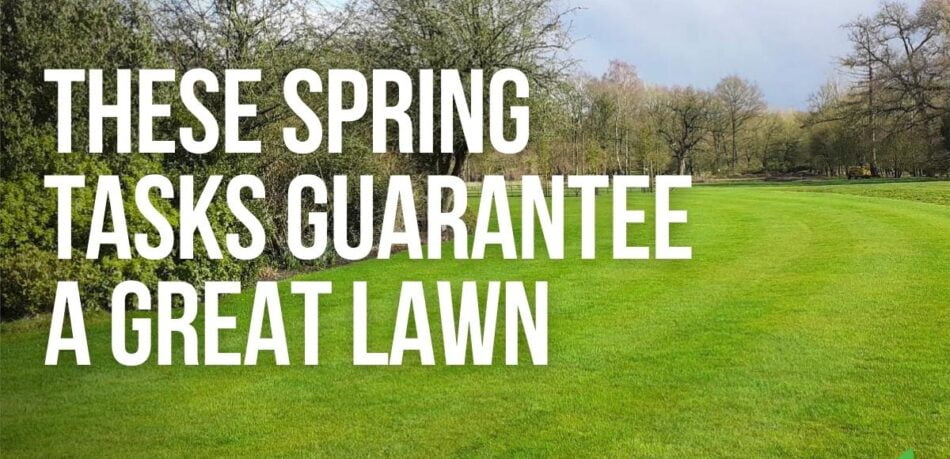 These Spring Tasks Guarantee A Great Lawn