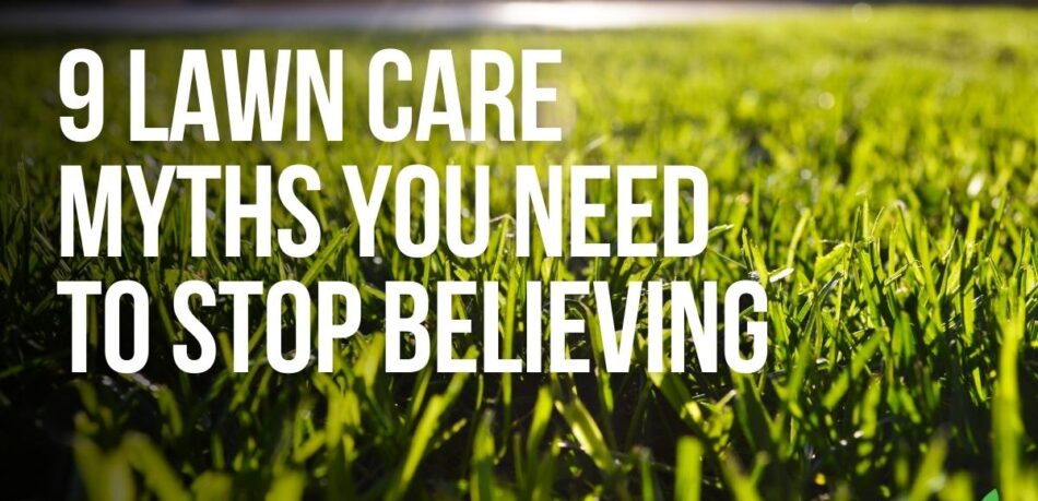 9 lawn care myths - Joe's lawn care