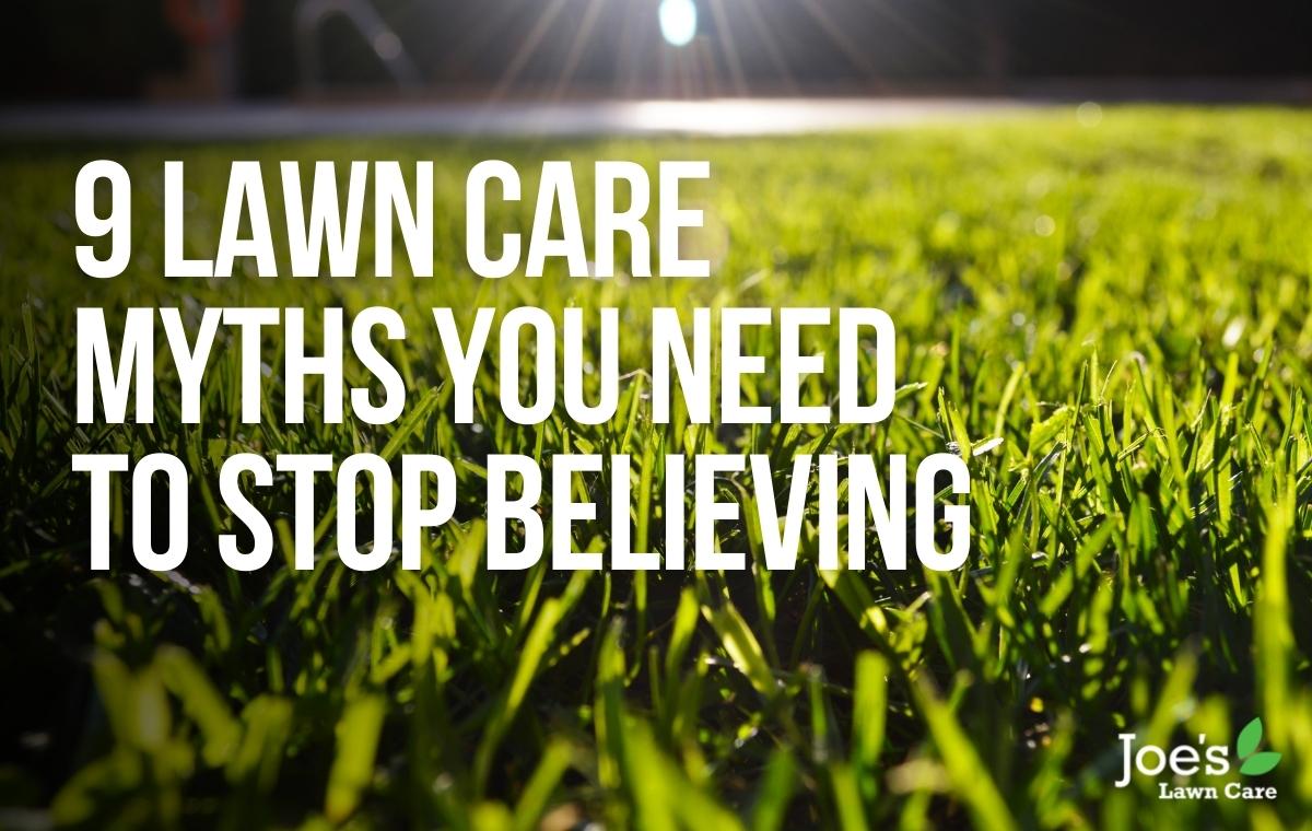 9 lawn care myths - Joe's lawn care