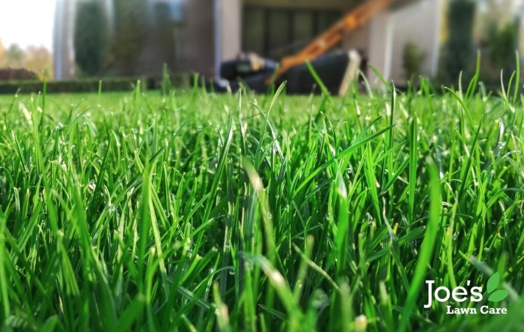 April Lawn Care Tasks - Joe's Guide