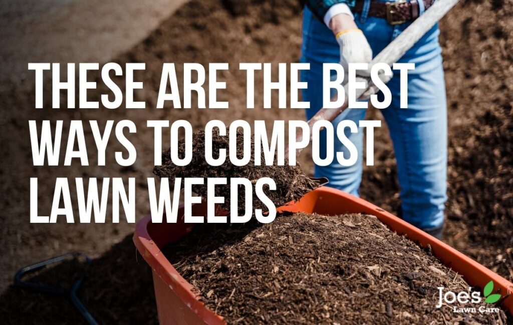 These Are The Best Ways To Compost Lawn Weeds Joe's Lawn Care
