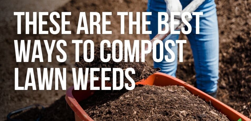 These Are The Best Ways To Compost Lawn Weeds