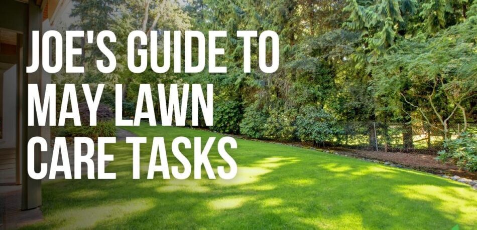 Joe's Guide To May Lawn Care Tasks