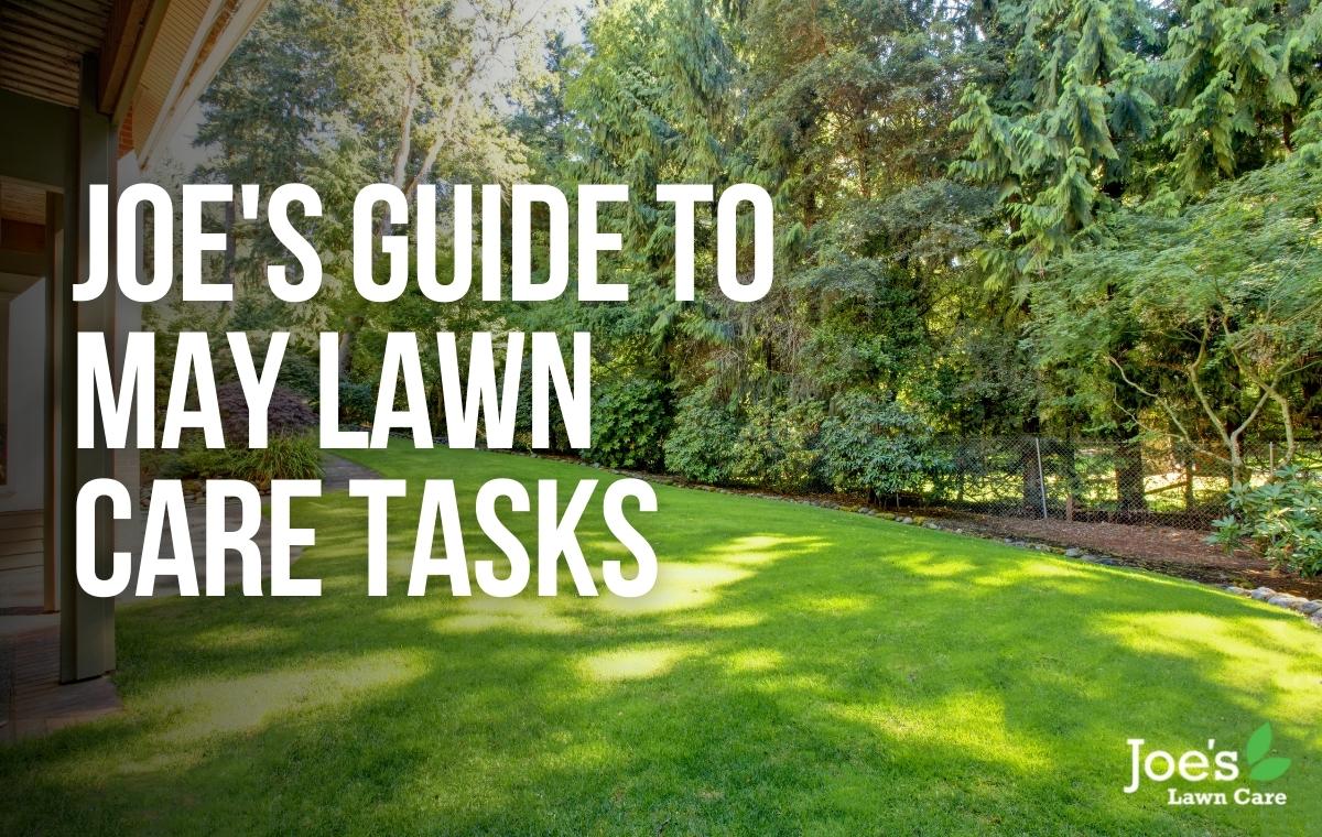 Joe's Guide To May Lawn Care Tasks