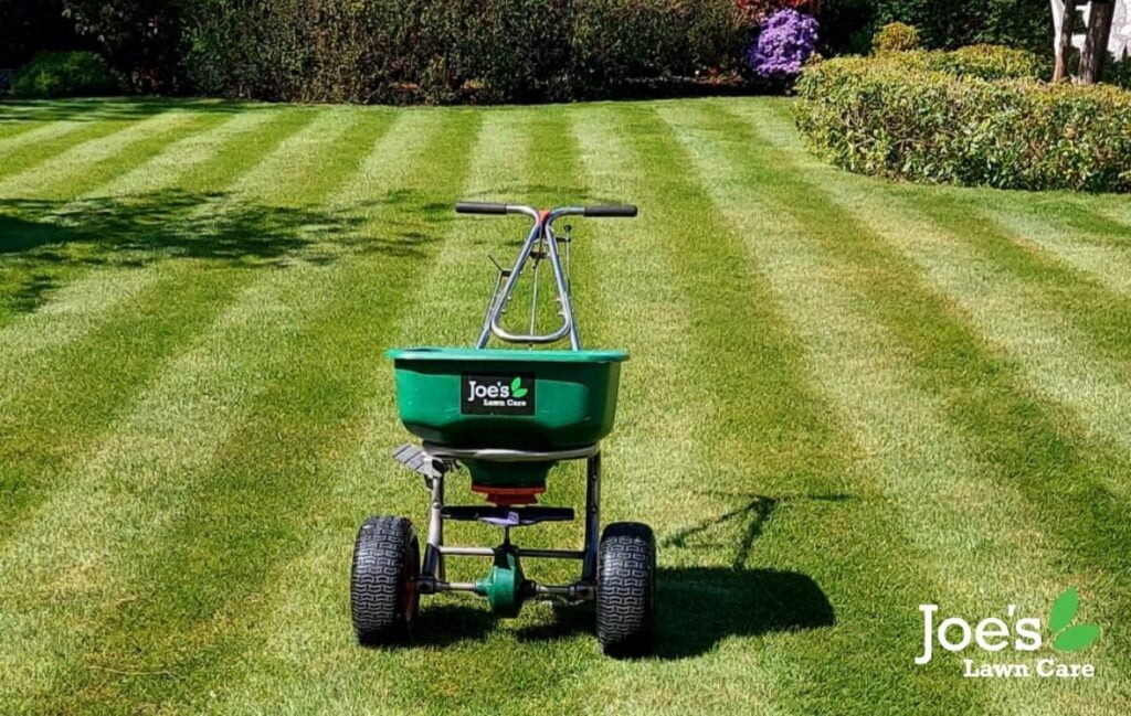 Feeding the lawn - may lawn care tasks