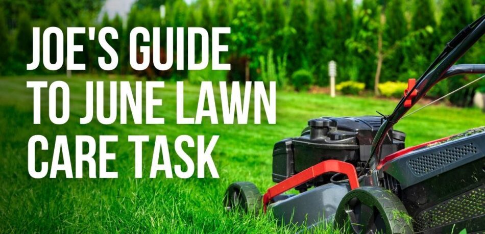 Joe's guide to june lawn care tasks