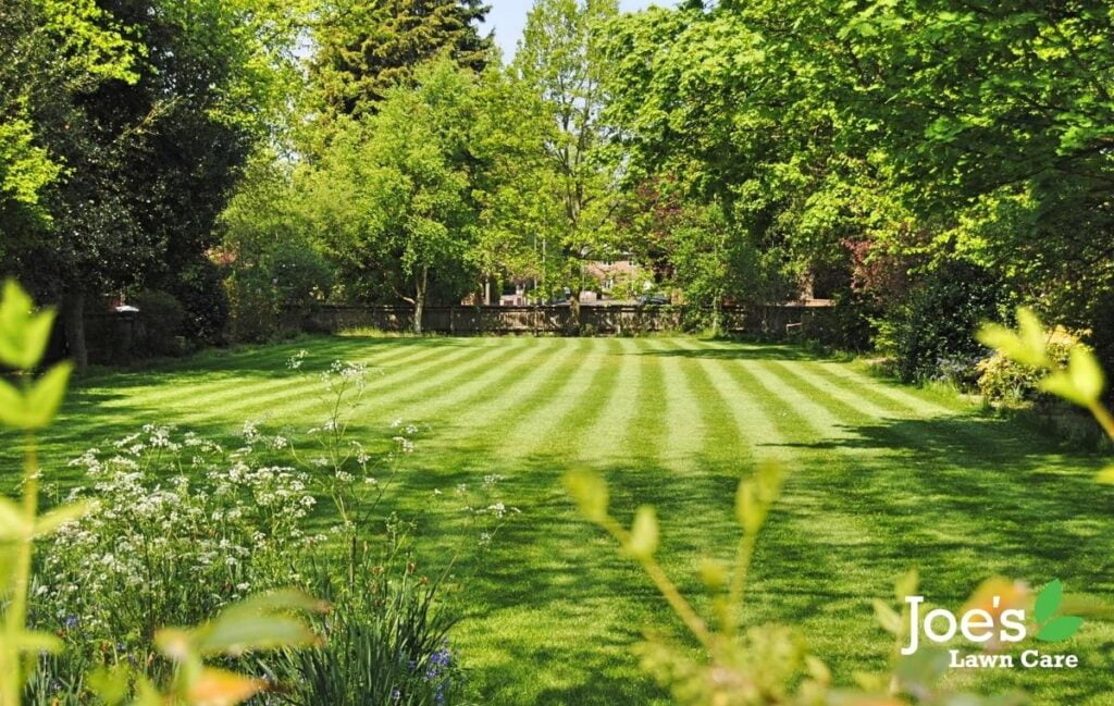 Top dressing your lawn this June