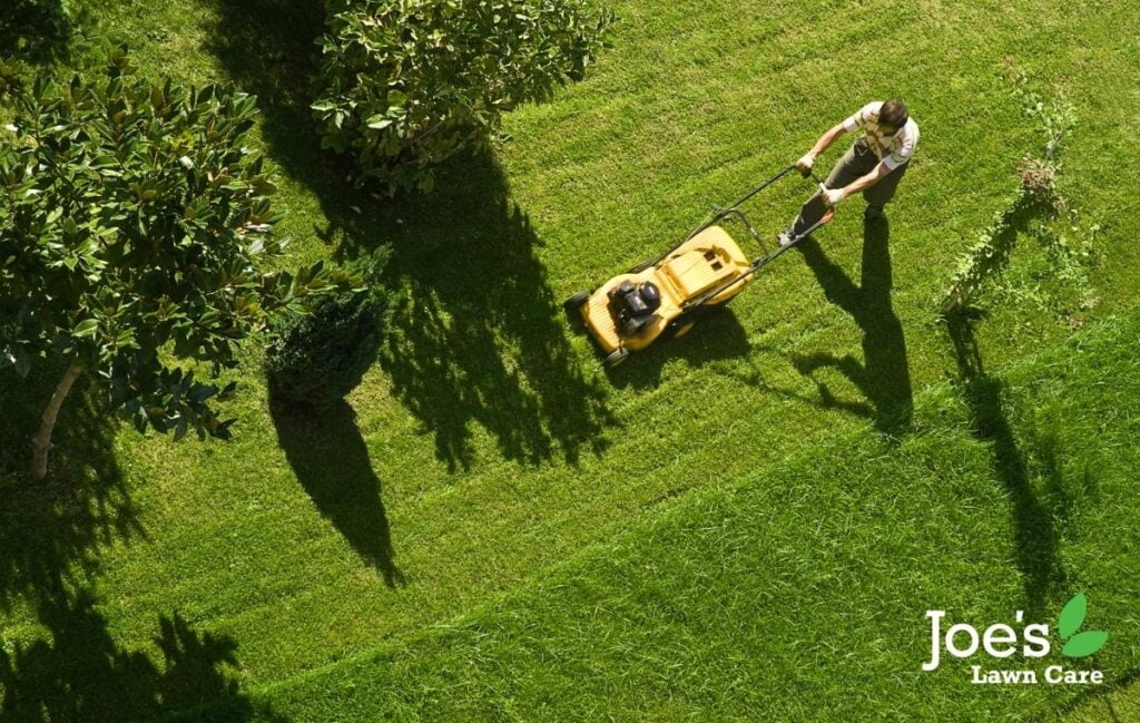 mowing june lawn care