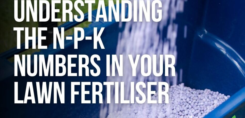 understanding the npk numbers in your lawn fertiliser