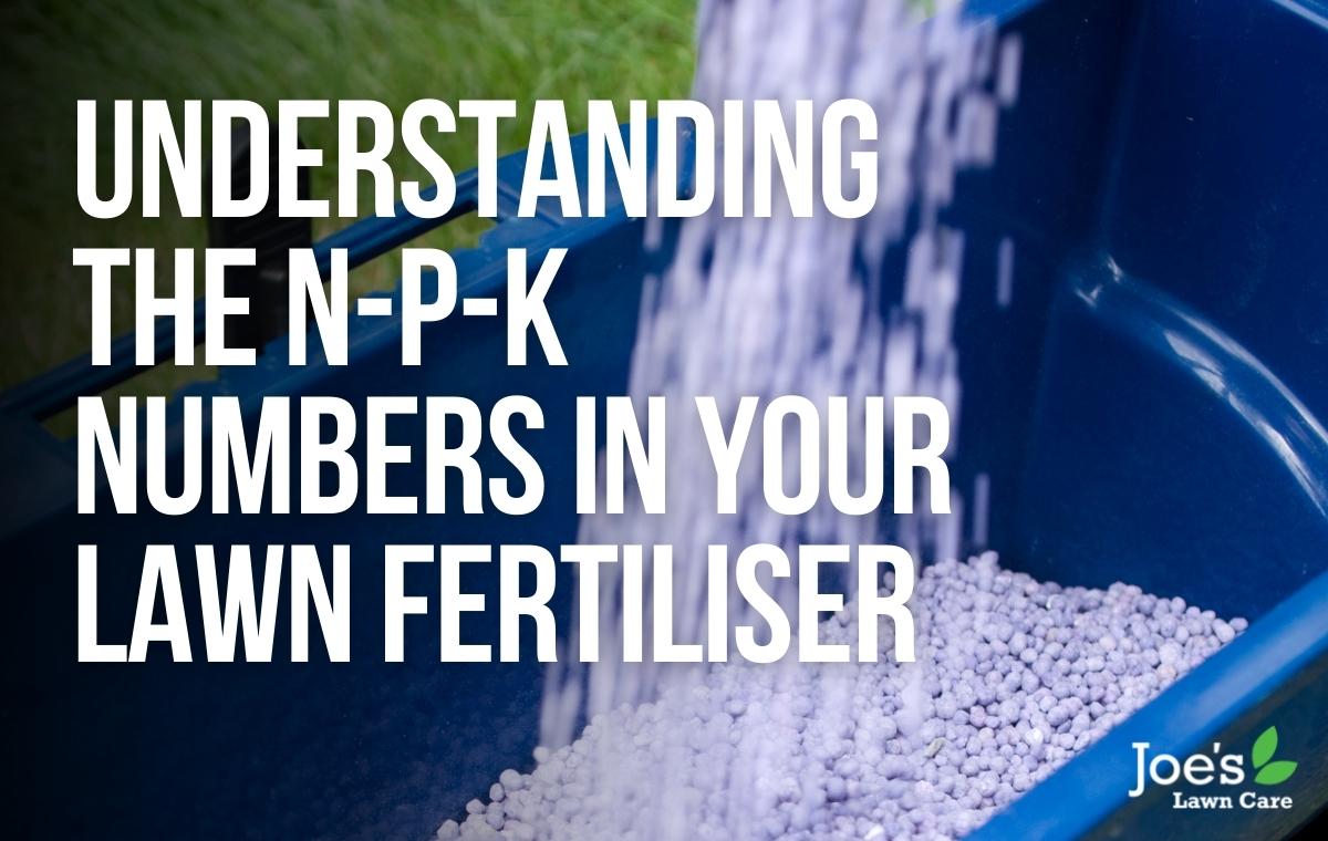 understanding the npk numbers in your lawn fertiliser