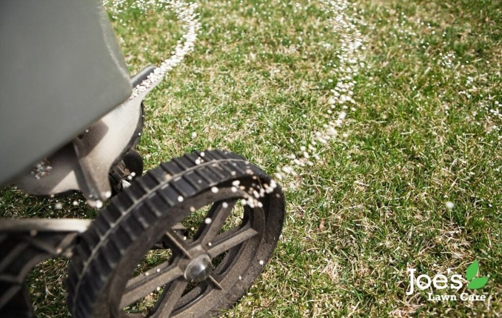 fertilised lawn