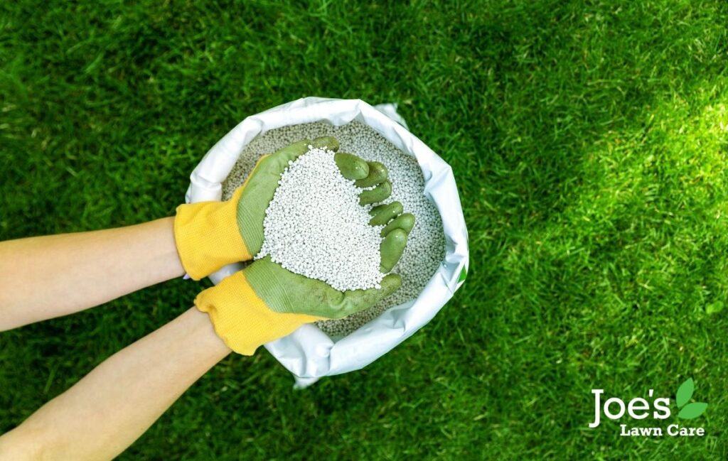 repairing your over fed lawn