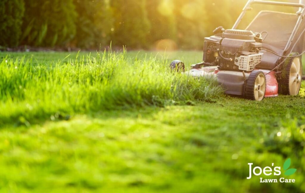 Is your failing to thrive because of your mowing