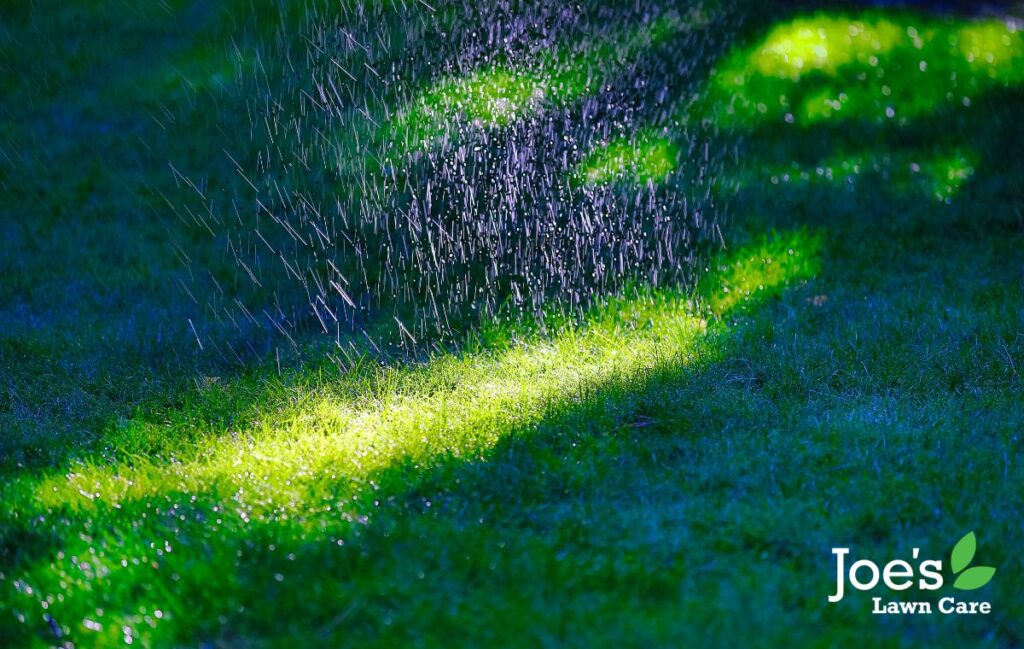 Shade is your lawns friend in the heat